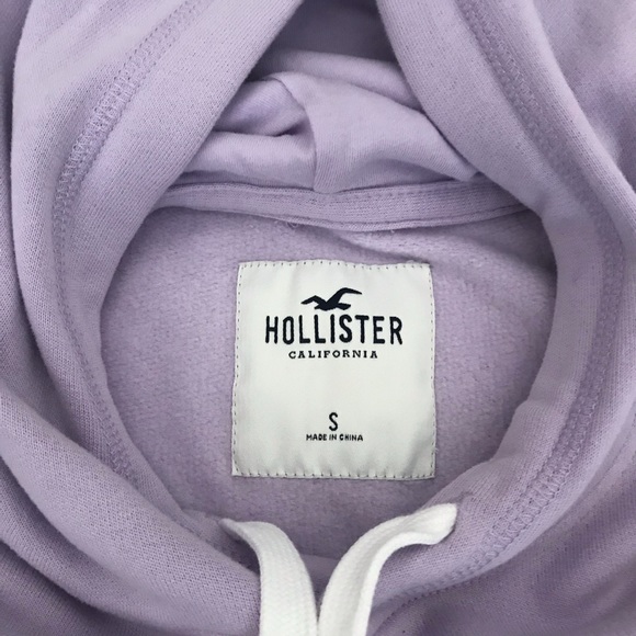 Purple Hollister Hoodie 